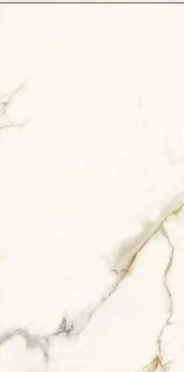 Time Dorado Matte 12 x 24